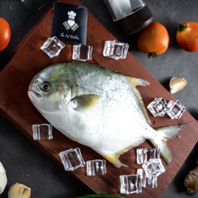 Load image into Gallery viewer, Golden Pompano - The Fat Butcher PH
