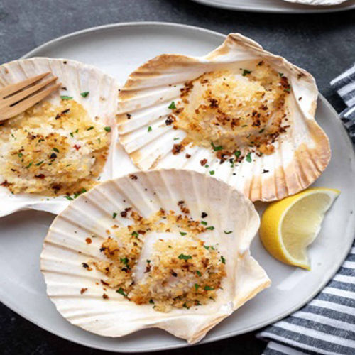 Scallops on Your Plate: Myths vs. Facts