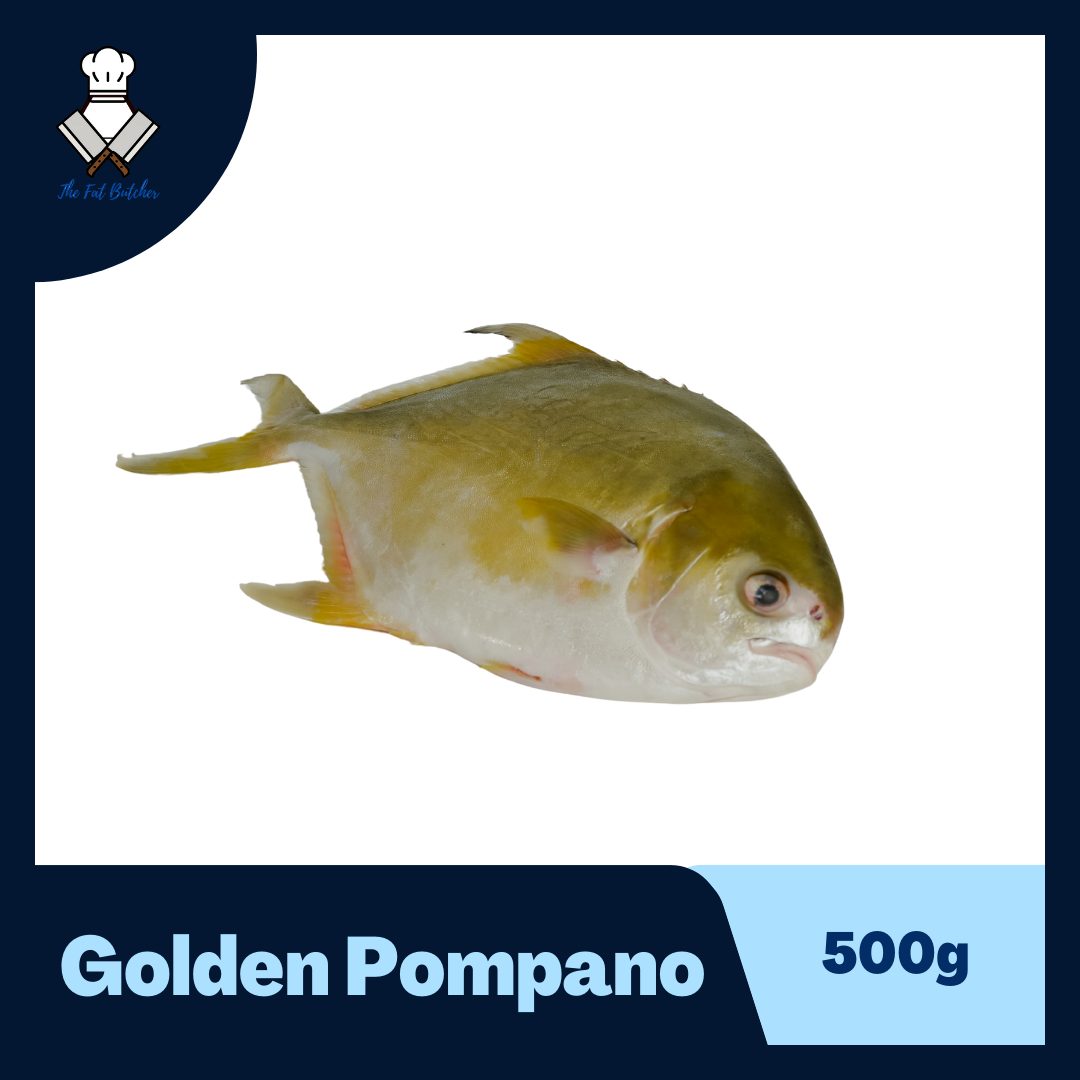 Golden Pompano